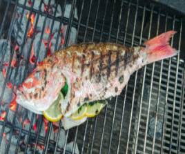Fish Barbrque (Hole)
